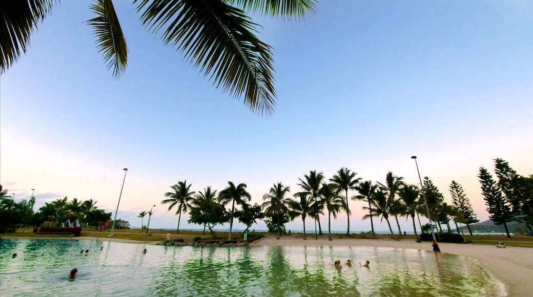 Airlie Beach showing swimming, general coastal views and landscape views