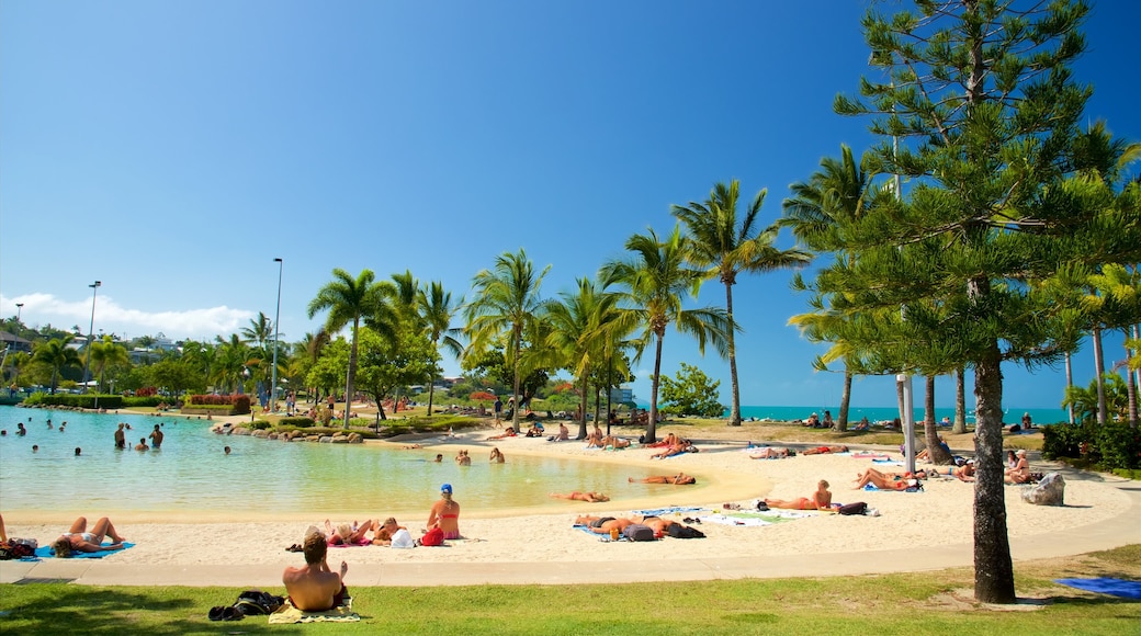 Airlie Beach Lagoon featuring swimming, tropical scenes and a luxury hotel or resort