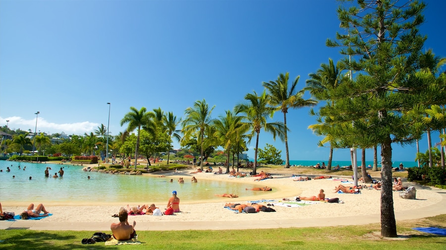 Airlie Beach Lagoon inclusief tropische uitzichten, een luxueus hotel of resort en een zwembad