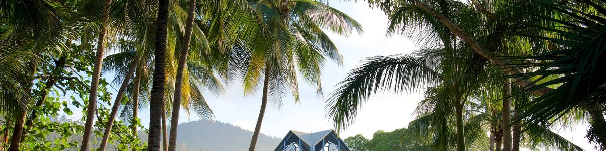 Stadtgebiet Airlie Beach das einen Küstenort und tropische Szenerien