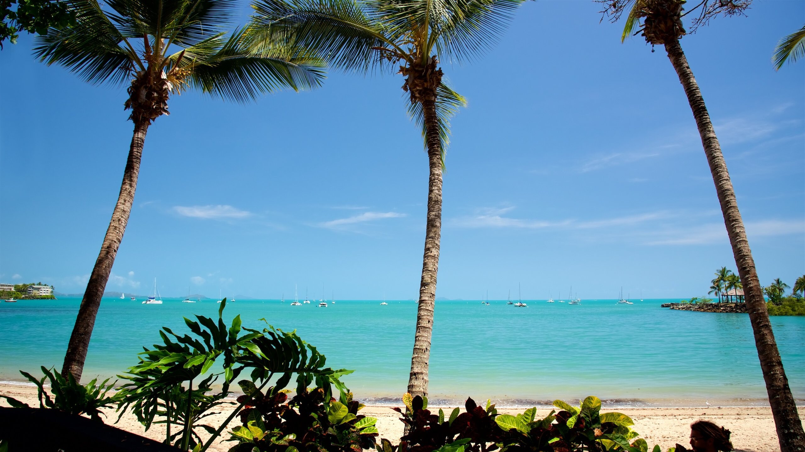 Visit Airlie Beach Best of Airlie Beach, Queensland Travel 2022