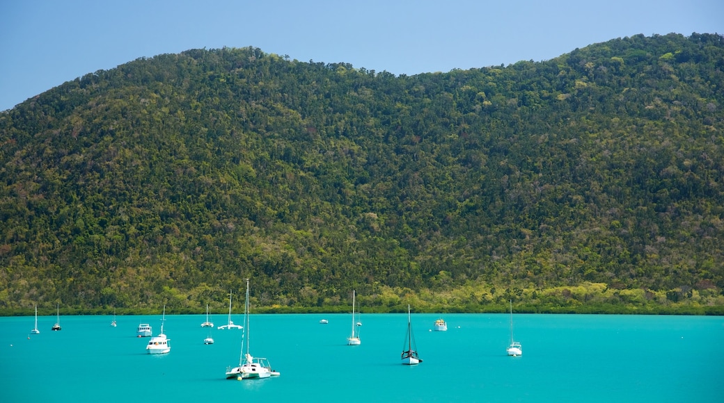 Shute Harbour mit einem Segeln, Landschaften und allgemeine Küstenansicht