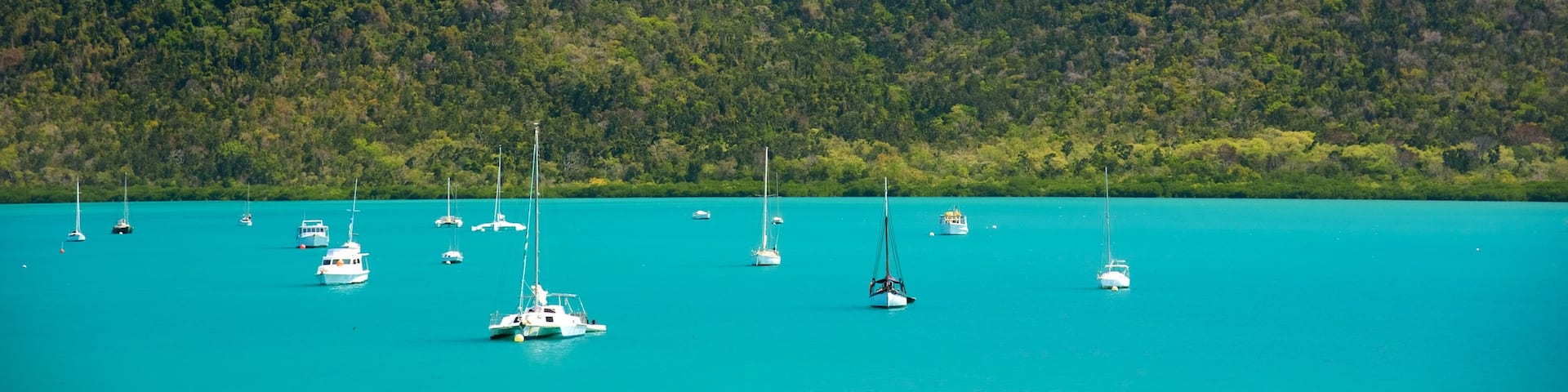 Shute Harbour which includes landscape views, general coastal views and sailing