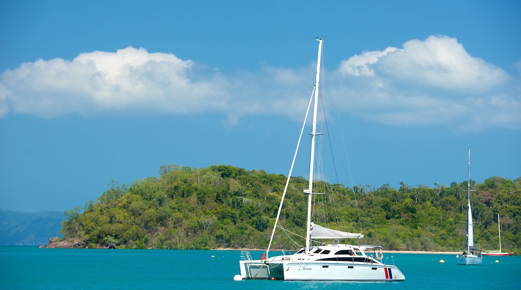 Shute Harbour mostrando barca a vela, vista della costa e paesaggio tropicale