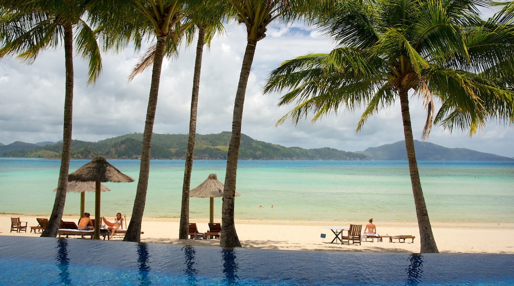 hamilton island travel packages