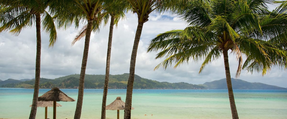 Hamilton Island showing a pool, a luxury hotel or resort and a beach