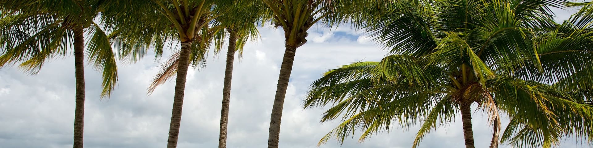 Hamilton Island showing a beach, a pool and a luxury hotel or resort