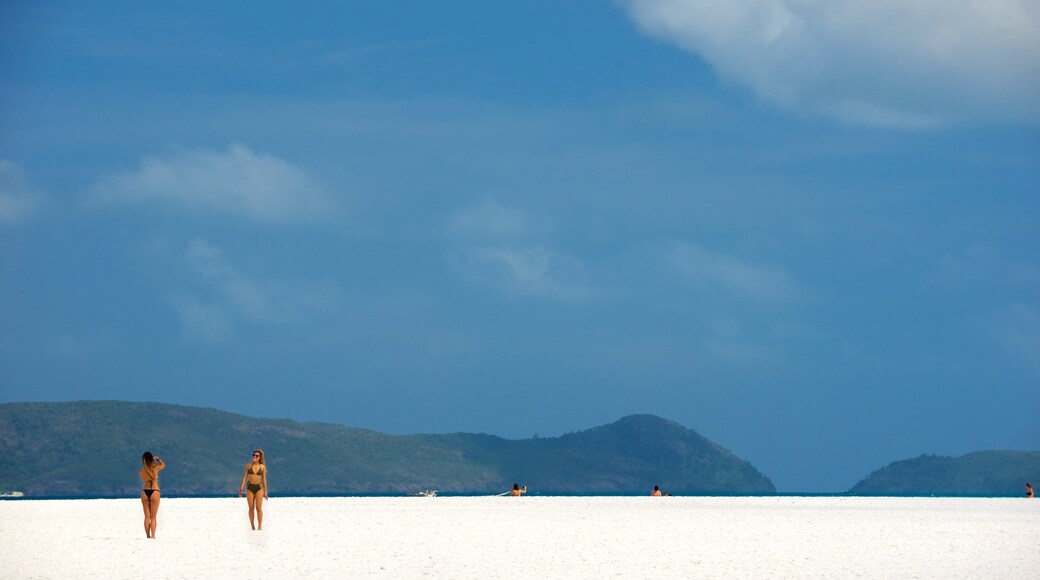 Hamilton Island showing landscape views and a sandy beach as well as a couple