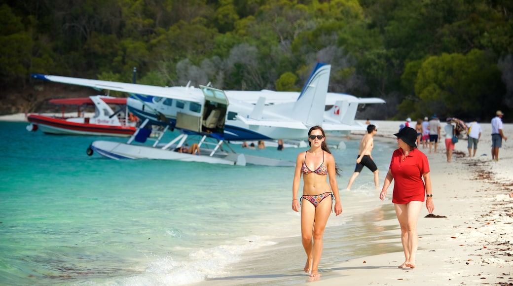 Hamilton Island showing aircraft and a sandy beach as well as a small group of people