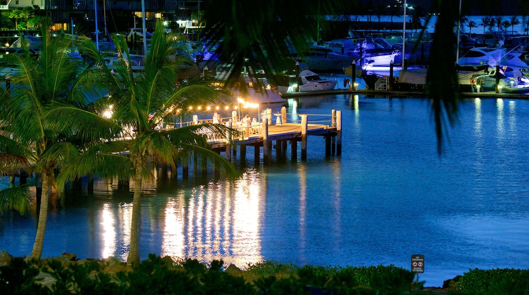 Hamilton Island which includes outdoor eating, night scenes and dining out