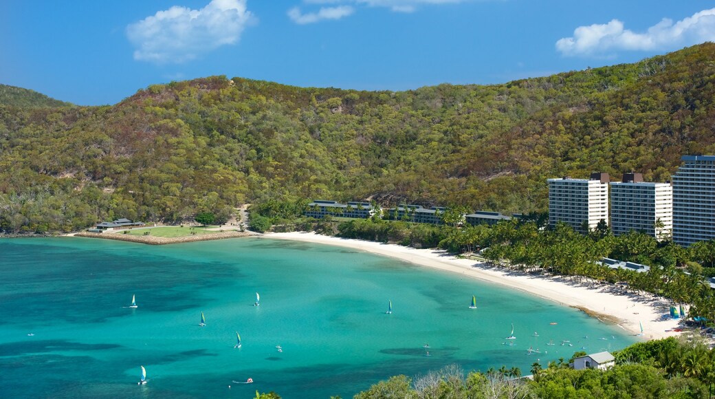 Catseye Beach showing general coastal views and a coastal town