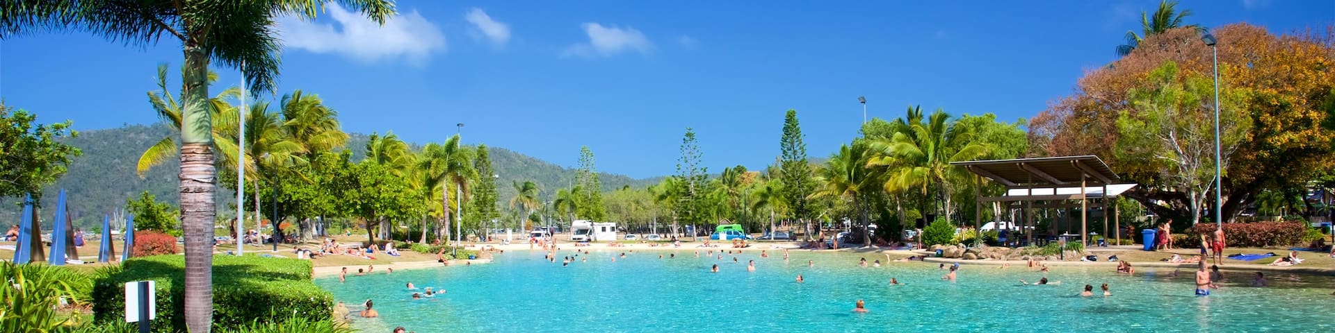 Airlie Beach Lagoon showing a pool, swimming and tropical scenes