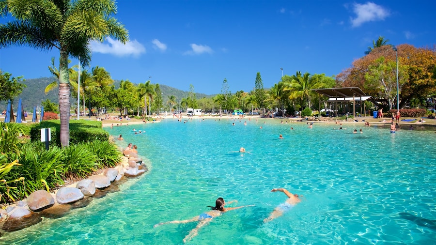 Airlie Beach Lagoon showing a pool, swimming and tropical scenes