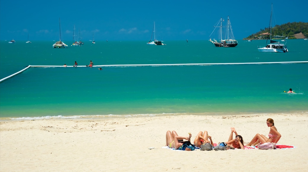 Airlie Beach som viser svømning og en strand såvel som en lille gruppe mennesker