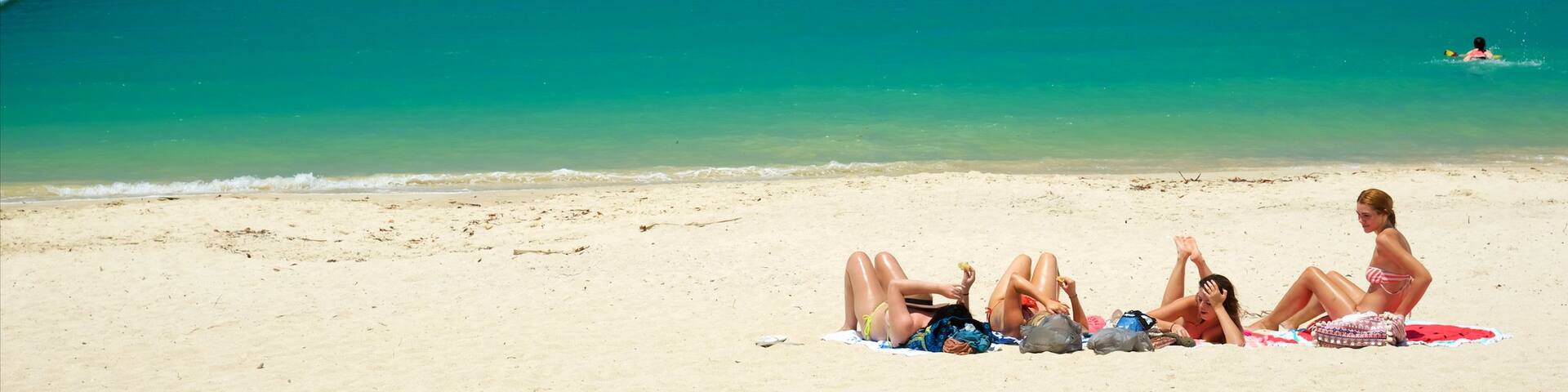 Airlie Beach which includes a beach and swimming as well as a small group of people