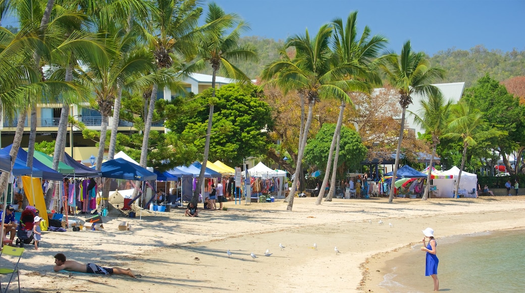 Airlie Beach featuring markets and a beach