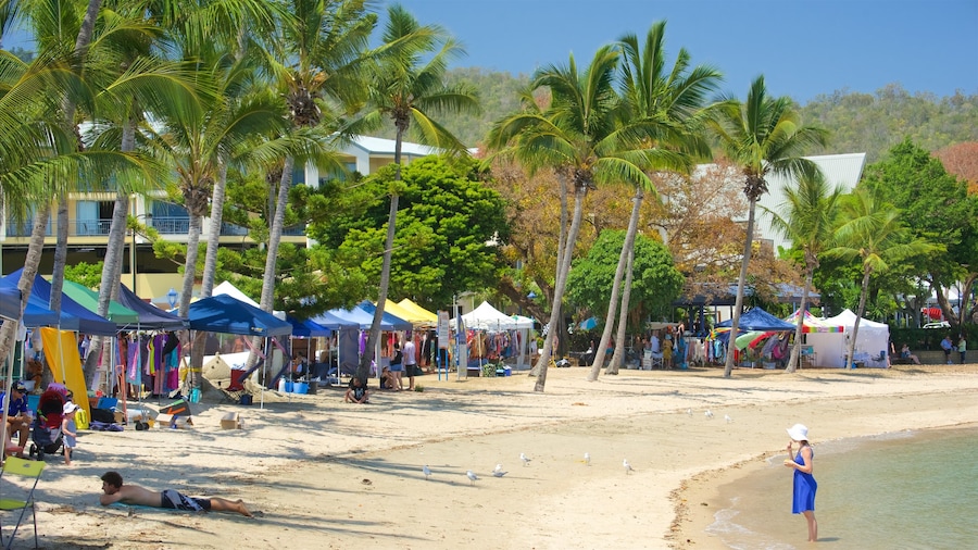 Airlie Beach featuring markets and a beach