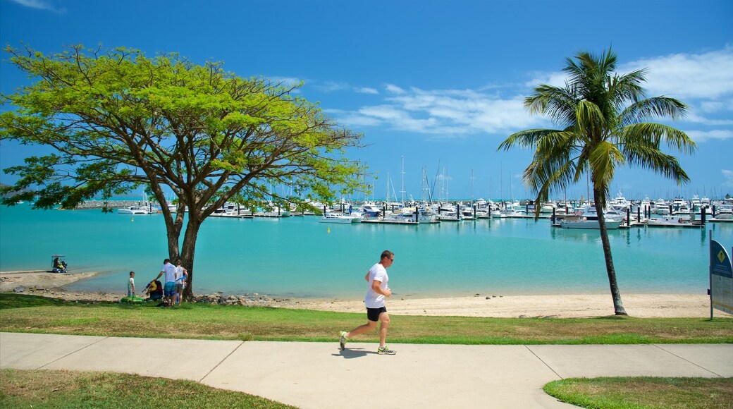 Airlie Beach showing general coastal views and a bay or harbour as well as an individual male