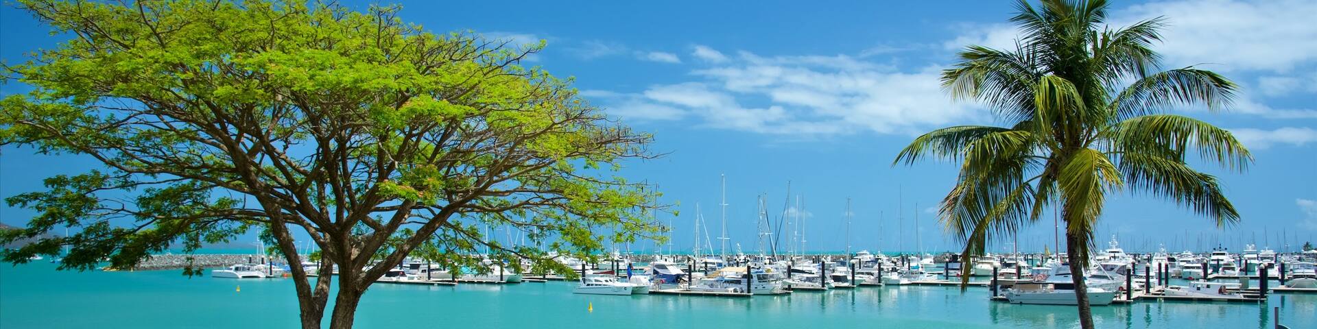 Airlie Beach showing general coastal views and a bay or harbour as well as an individual male