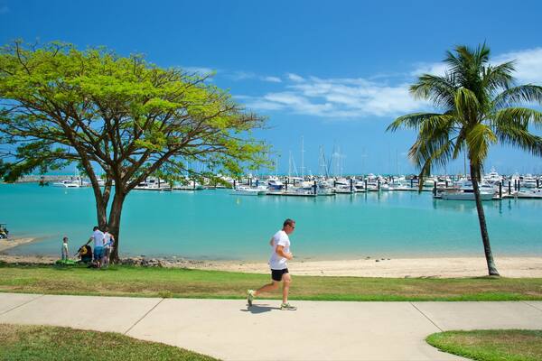 Stadtgebiet Airlie Beach welches beinhaltet allgemeine Küstenansicht und Bucht oder Hafen sowie einzelner Mann