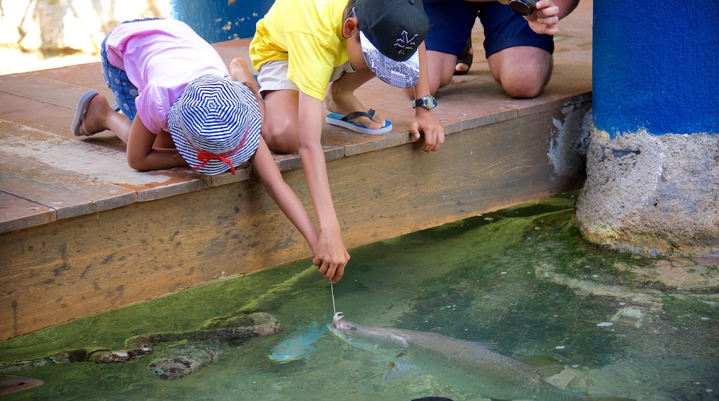 Molle Islands National Park showing marine life as well as a family