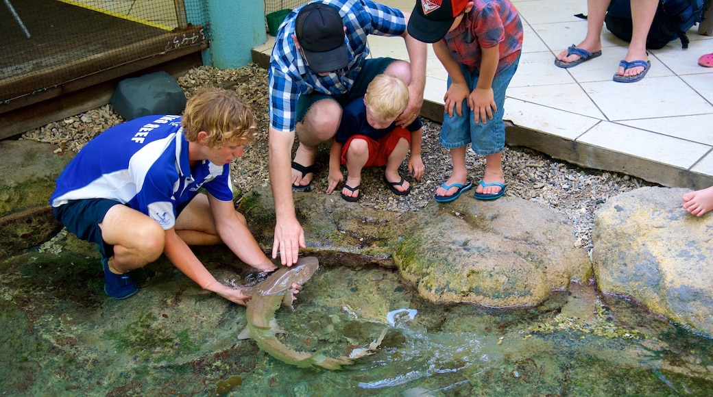 Molle Islands National Park which includes marine life as well as a family