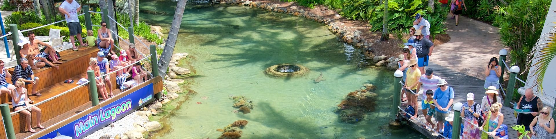 Ile Daydream mettant en vedette vie marine et animaux de zoo aussi bien que petit groupe de personnes