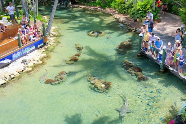 Ile Daydream mettant en vedette vie marine et animaux de zoo aussi bien que petit groupe de personnes