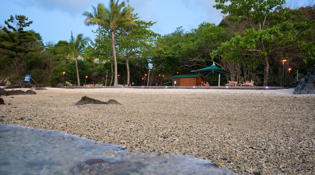 Daydream Island showing a pebble beach