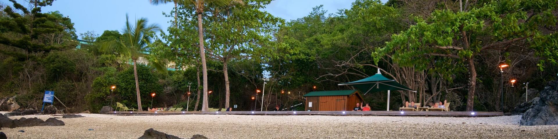 Daydream Island which includes a pebble beach