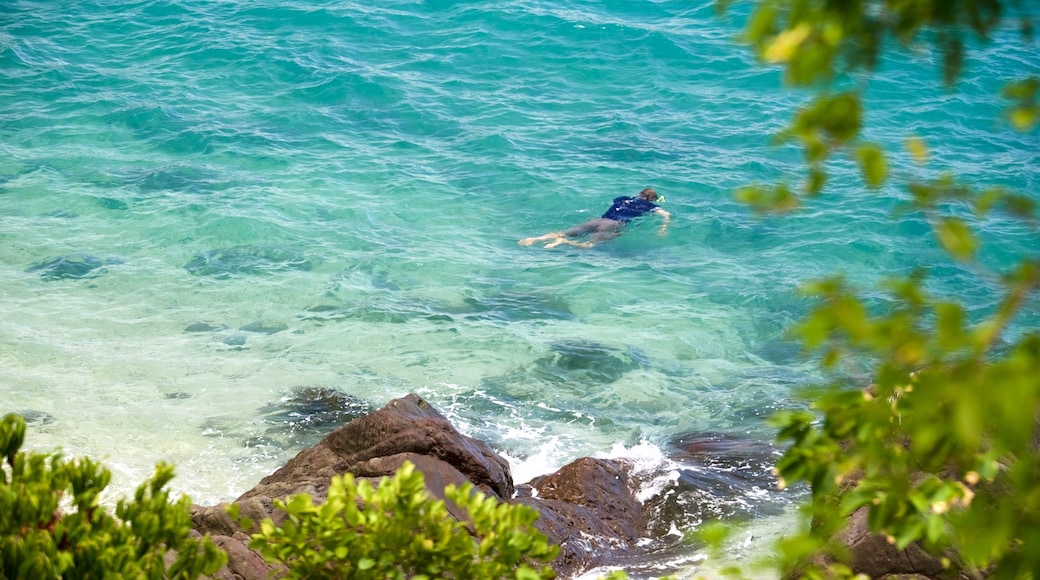 Isla Daydream ofreciendo snorkel y vista general a la costa y también un hombre