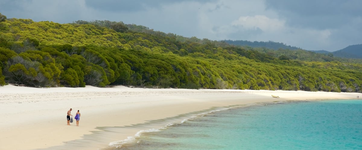 Hamilton Island featuring a beach, tropical scenes and general coastal views