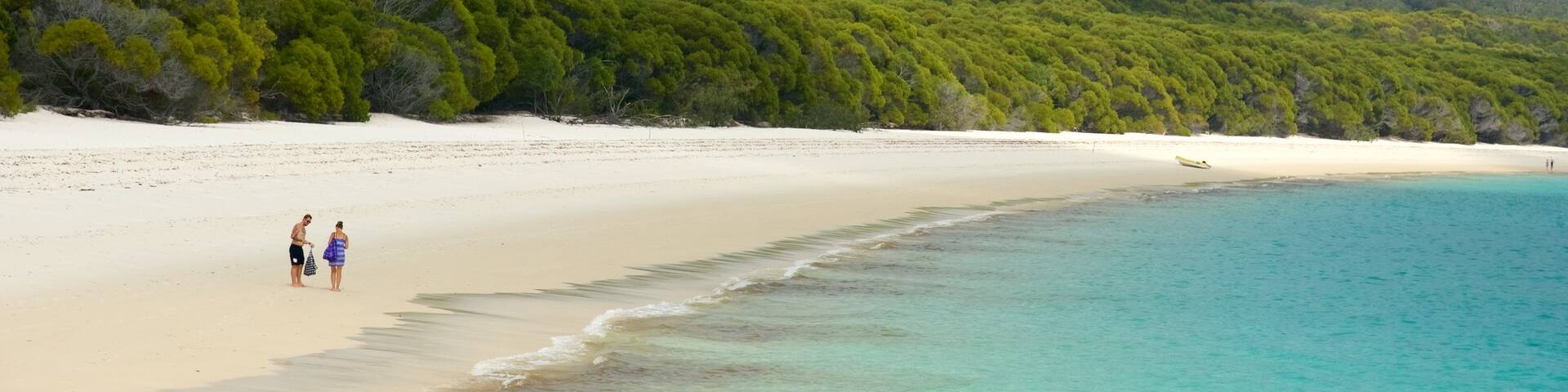 Hamilton Island which includes landscape views, general coastal views and tropical scenes