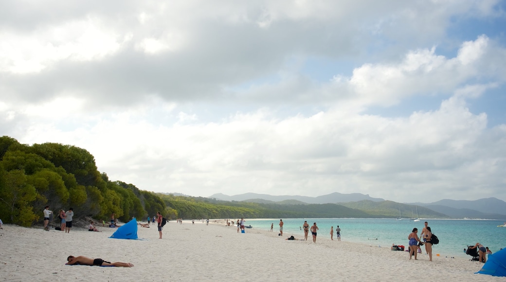 เกาะแฮมิลตัน แสดง วิวทิวทัศน์ และ หาดทราย