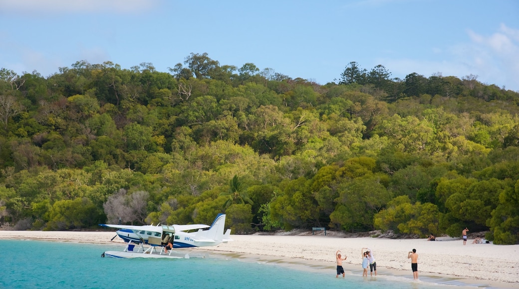 Hamilton Island featuring tropical scenes, a beach and aircraft