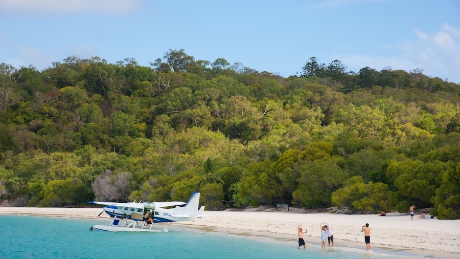 Hamilton Island toont vliegtuigen, tropische uitzichten en een strand