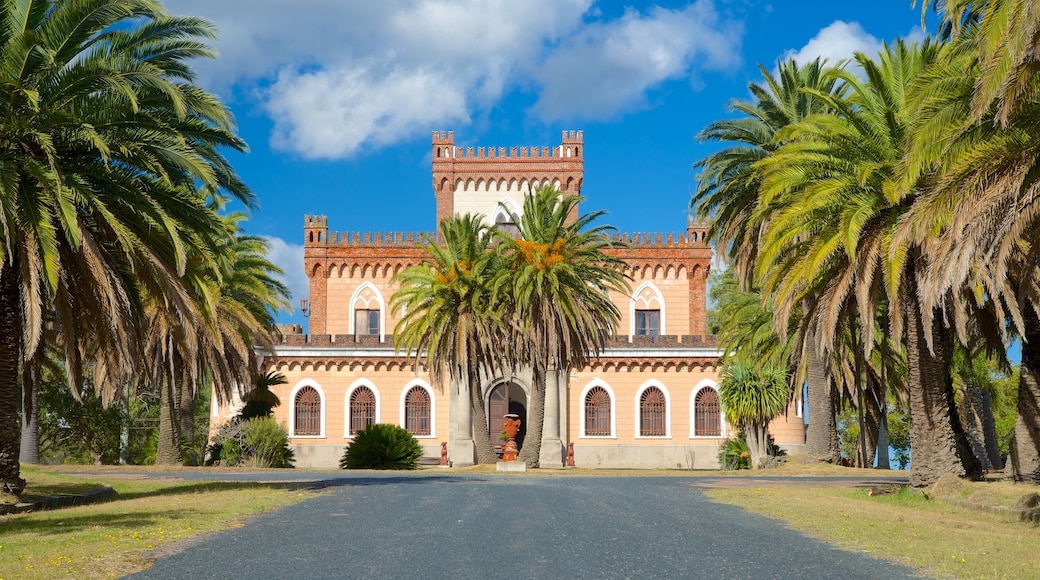 Piriapolis showing chateau or palace