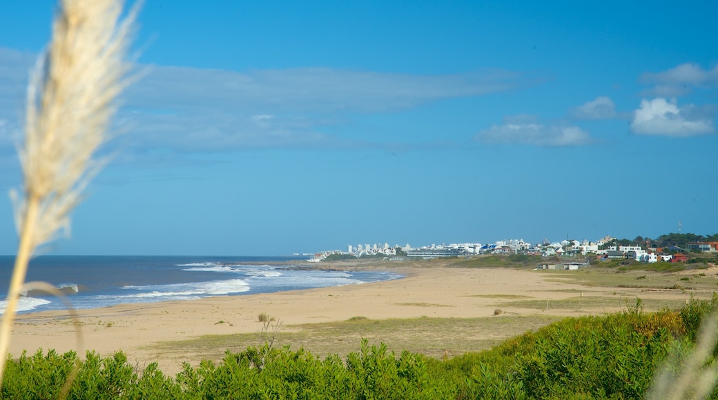 Playa Bikini ofreciendo una playa, vistas de paisajes y vistas generales de la costa