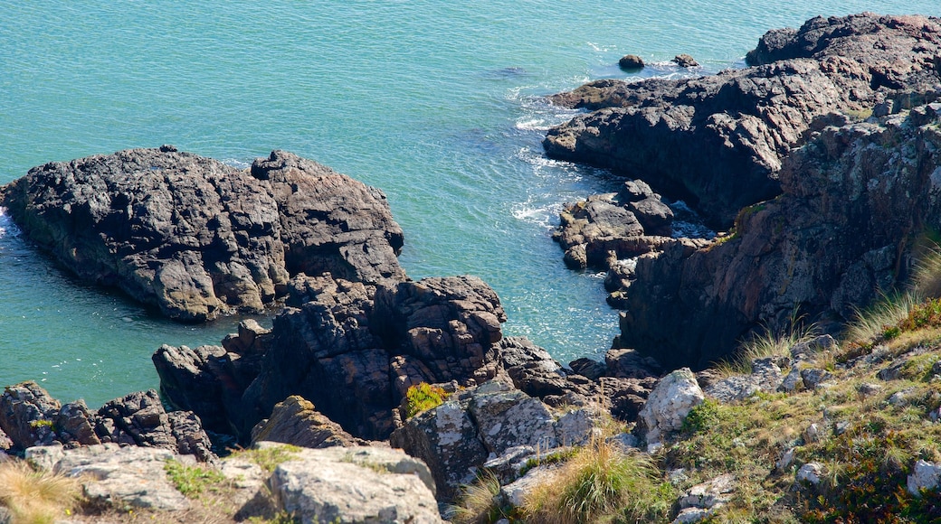 Punta del Este which includes rocky coastline