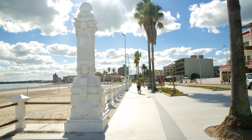 Playa de Piriápolis que incluye imágenes de calles y una ciudad costera y también un hombre