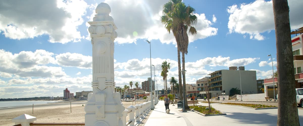 Playa de Piriápolis mostrando una ciudad costera y escenas urbanas y también un hombre