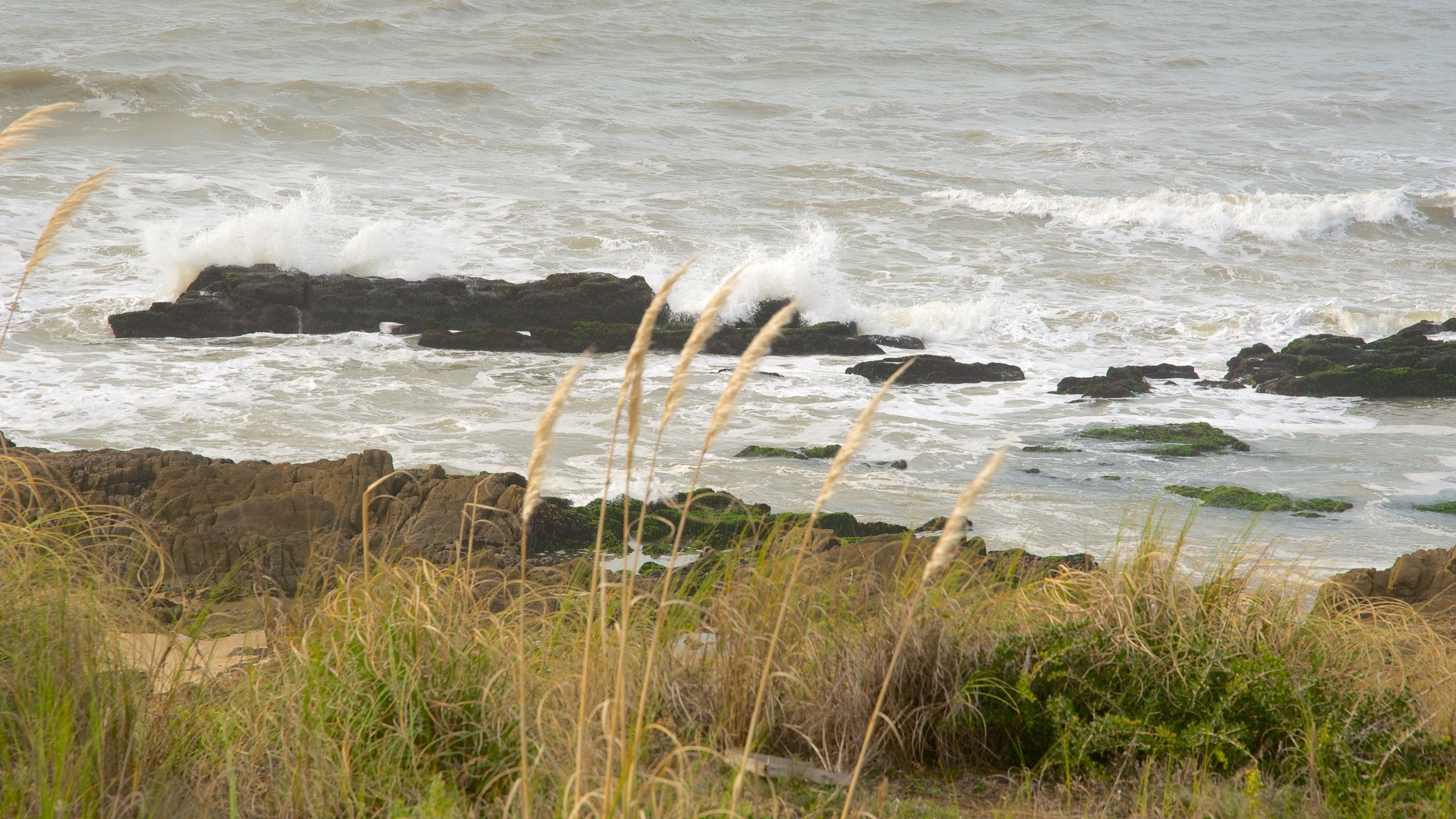 Reiseführer La Paloma 2024 das Beste in La Paloma entdecken Expedia.de