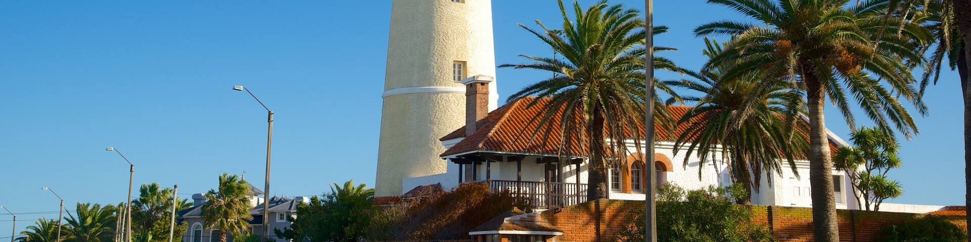 Punta del Este Lighthouse showing a coastal town and a lighthouse