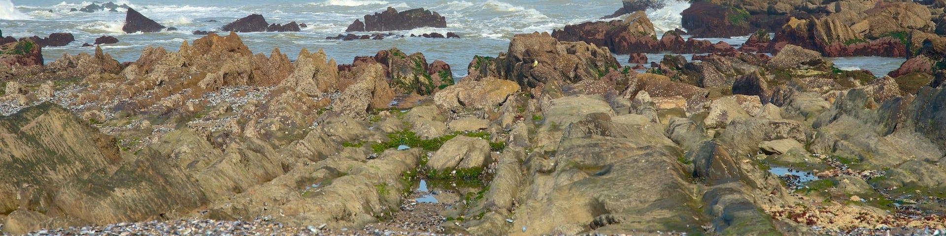 Cape Santa Maria Lighthouse which includes general coastal views and rugged coastline