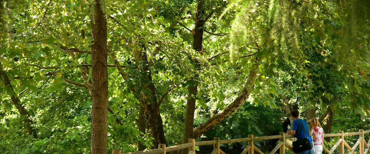Giardini Pubblici Indro Montanelli ofreciendo un jardín y también una pareja