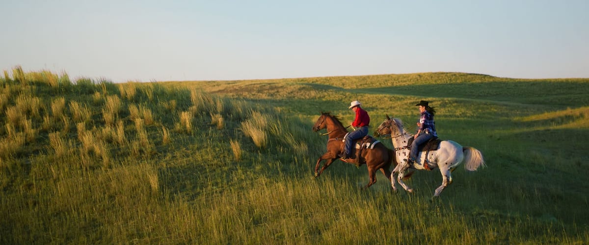 Valentine showing tranquil scenes and horseriding as well as a couple