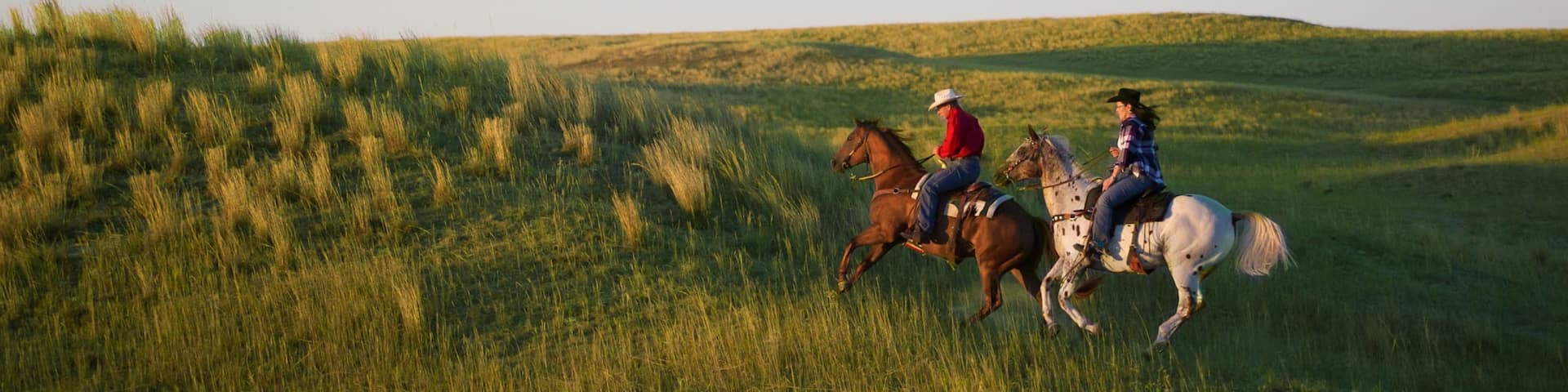 Valentine showing tranquil scenes and horseriding as well as a couple