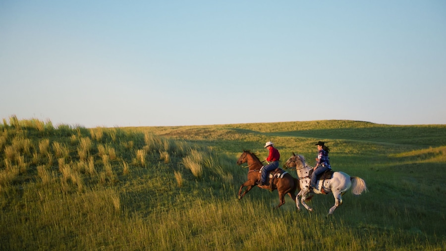 Valentine ofreciendo escenas tranquilas y pasos a caballo y también una pareja