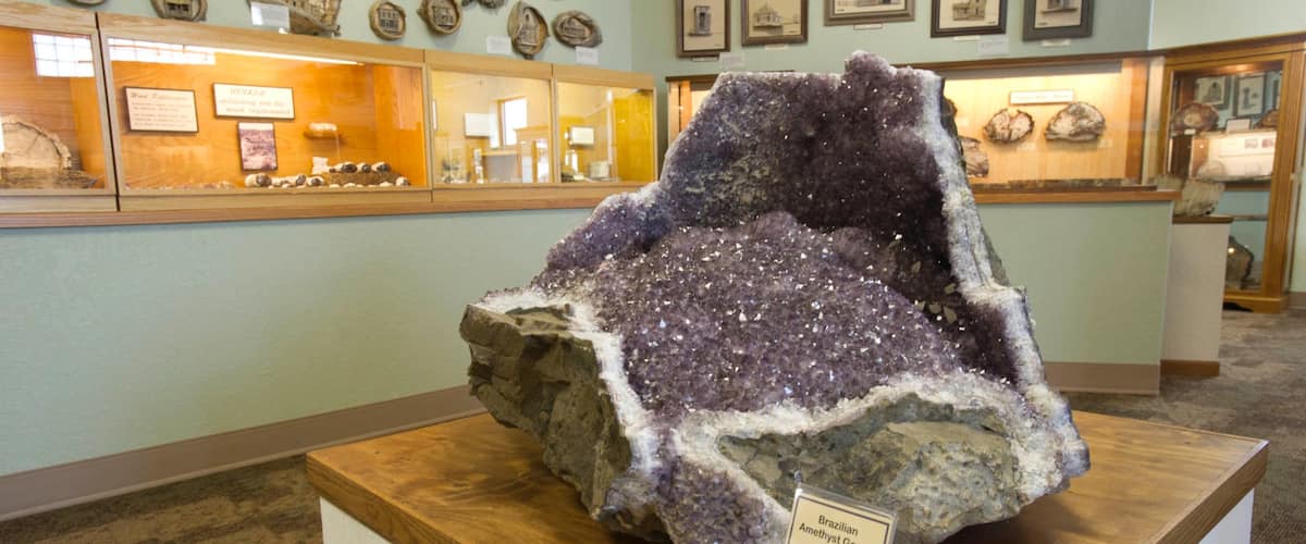 Galerie de bois pétrifié mettant en vedette vues intérieures et statue ou sculpture