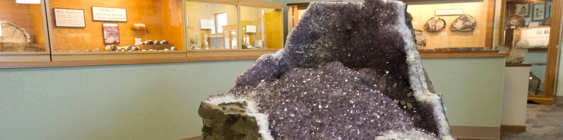 Petrified Wood Gallery which includes a statue or sculpture and interior views